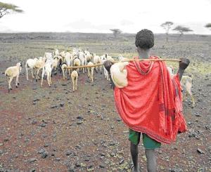 Der Ziegen-Schutzbrief