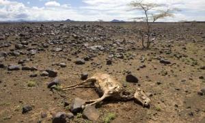 Kalacha-Marsabit-district-001