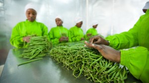 lB9A4j21EUCM9LogCuLC8dwlAP2xFHm-YFrI-AE3n4KJ7Z8vA-oDsLIoCgVr8oa2Sh3pdeP5HL66cF4GQfyBiS0U6lsxkFP9GaNoVBtBAwb_4SxMlpGEaXNgx12VJ5bnLQ