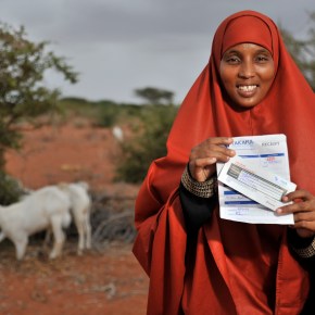 Capacity development in the Index-Based Livestock Insurance&nbsp;project