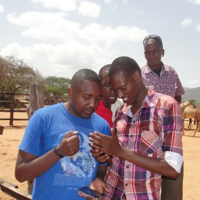 Towards a robust national livestock market information system: Stakeholders convene to chart way&nbsp;forward