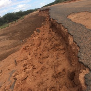 On the road to salvaging livestock market data: Digitizing livestock market data from Kenya’s arid and semi-arid&nbsp;regions